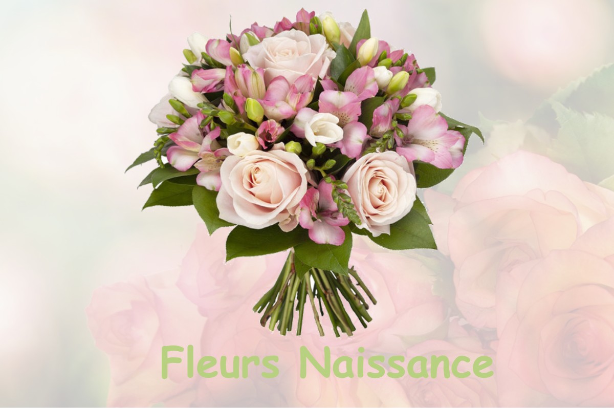 fleurs naissance BUSSY-ALBIEUX